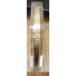 ANGEL DE LA INDEPENDENCIA