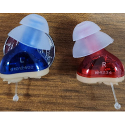 AUXILIAR INTRACANAL DE PERILLA