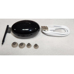 AMPLIFICADOR RECARGABLE CHICHARO